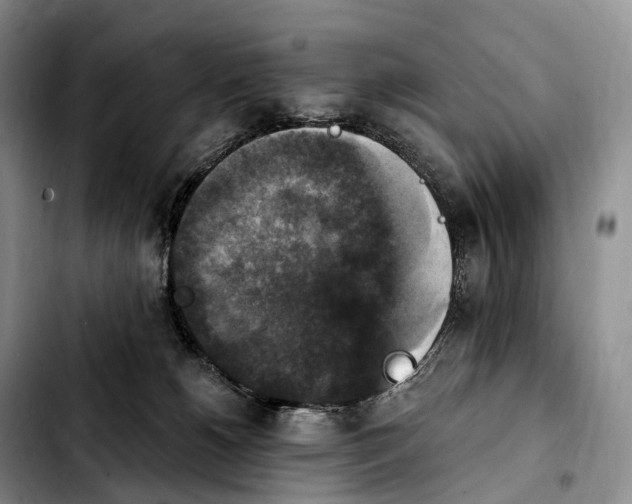 X0000103950180200810101446