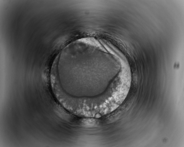 X0000103950181200810101446