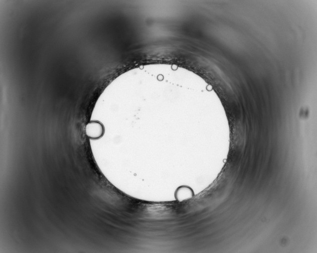 X0000103950183200810101446
