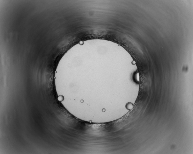 X0000103950184200810101446