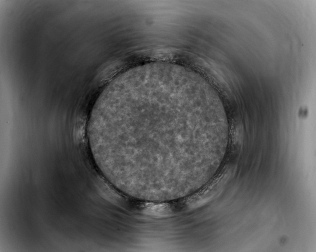 X0000103950185200810101446