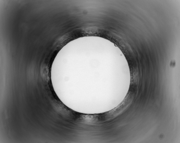 X0000103950187200810101446