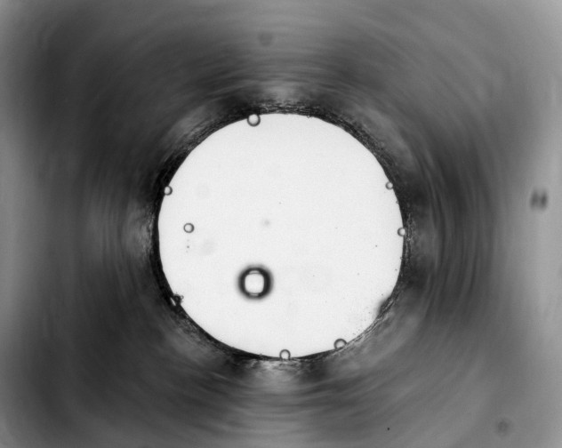 X0000103950188200810101446