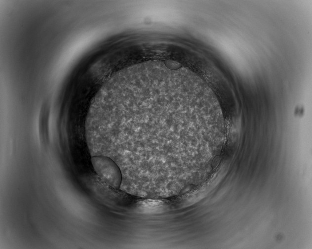 X0000103950189200810101446