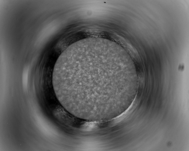 X0000103950190200810101446