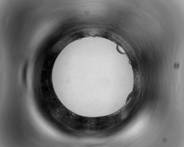 X0000103950191200810101446