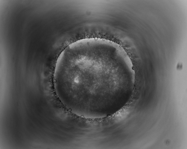 X0000103950192200810101446