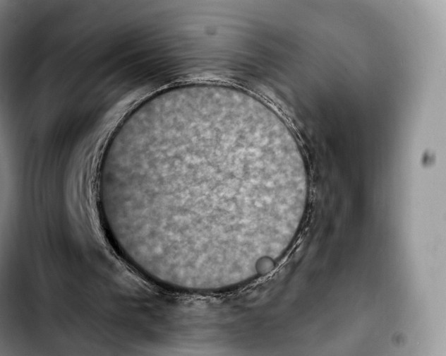 X0000103950193200810101446