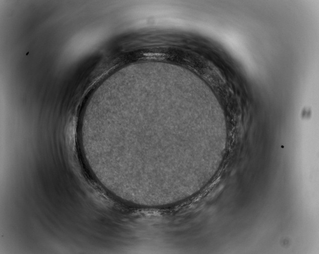 X0000103950194200810101446