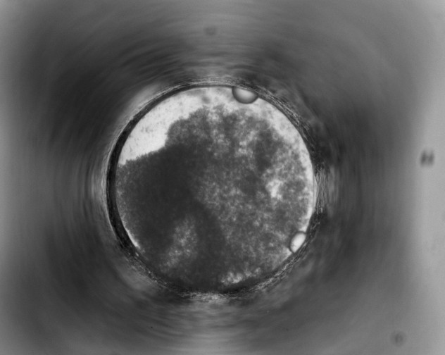 X0000103950195200810101446