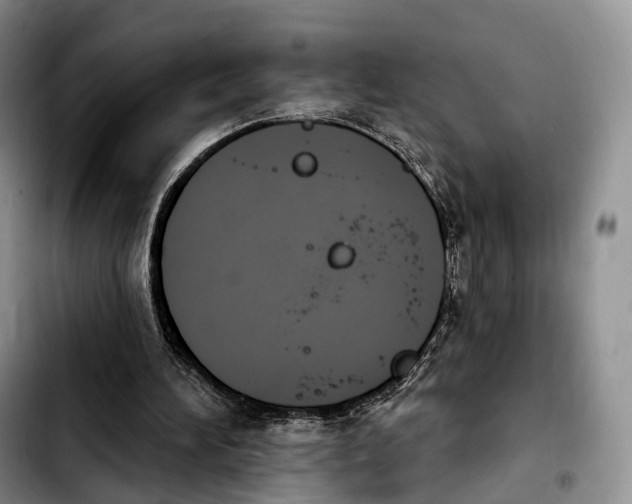 X0000103950196200810101446