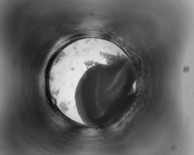 X0000103950198200810101446