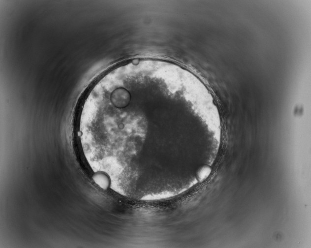 X0000103950199200810101446