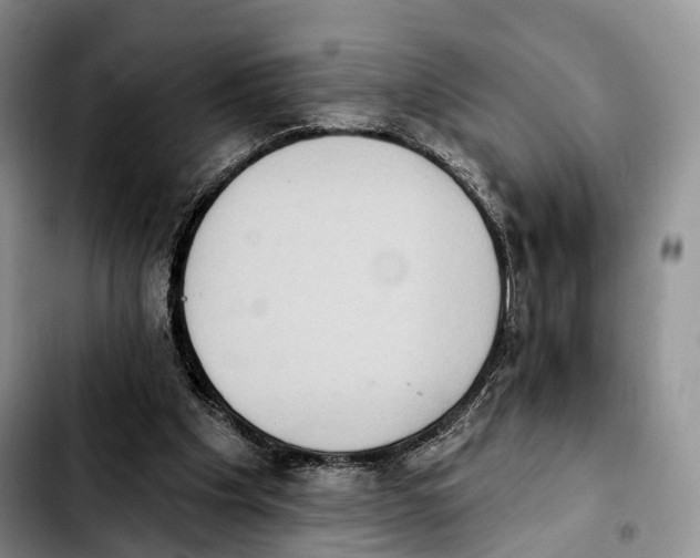 X0000103950201200810101446