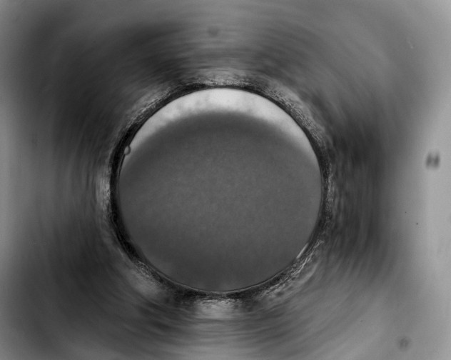 X0000103950202200810101446