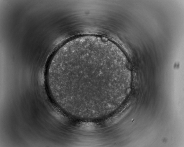 X0000103950203200810101446