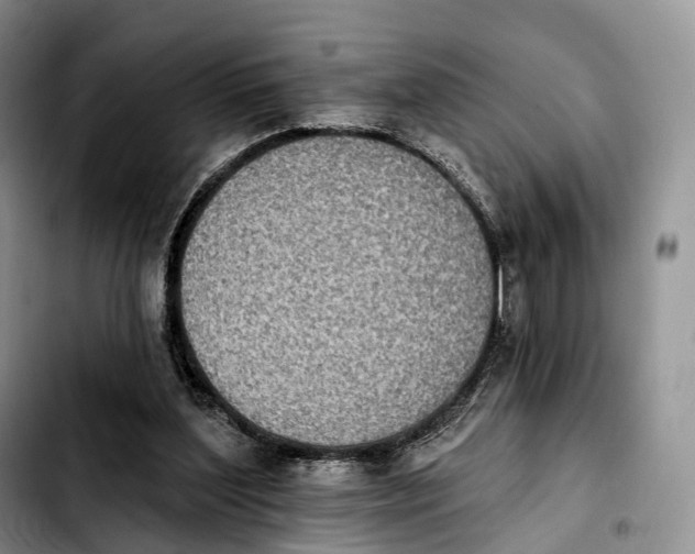 X0000103950204200810101446