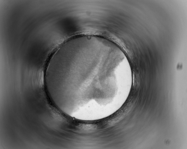 X0000103950205200810101446