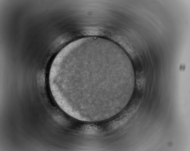 X0000103950207200810101446