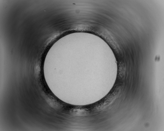 X0000103950208200810101446