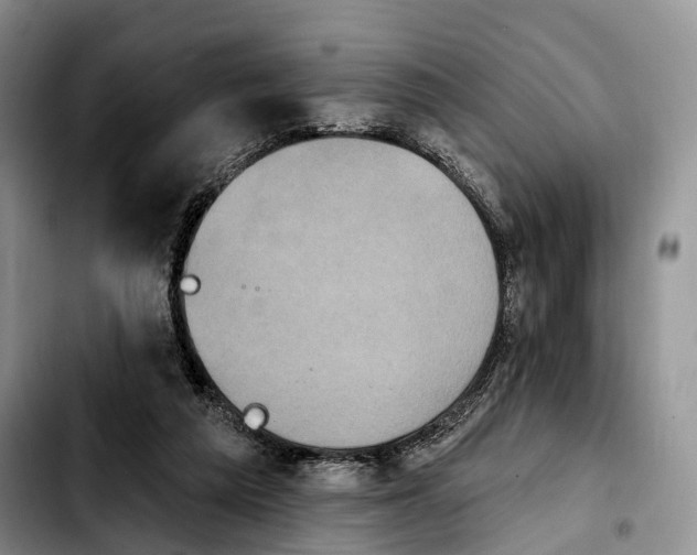 X0000103950209200810101446