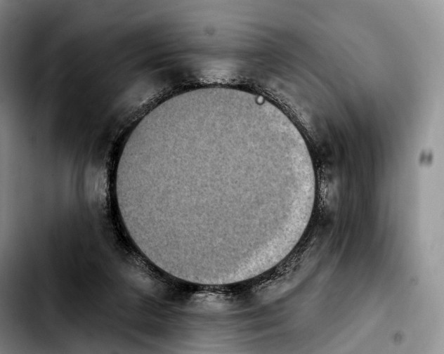 X0000103950211200810101445