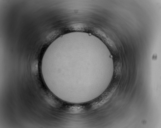 X0000103950213200810101445