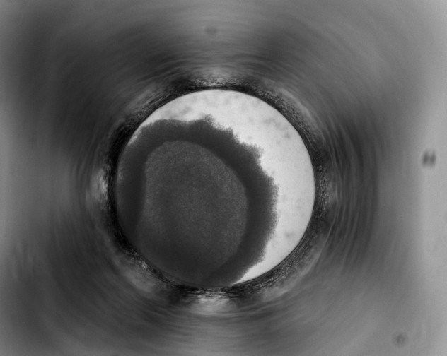 X0000103950214200810101445