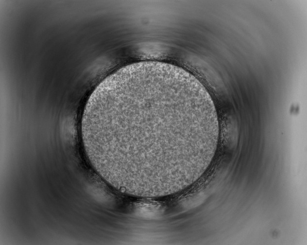 X0000103950215200810101445