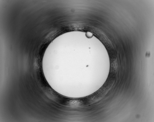 X0000103950218200810101445