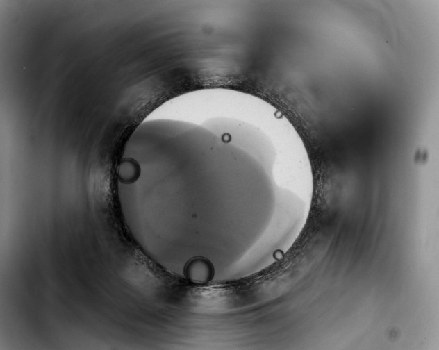 X0000103950219200810101445