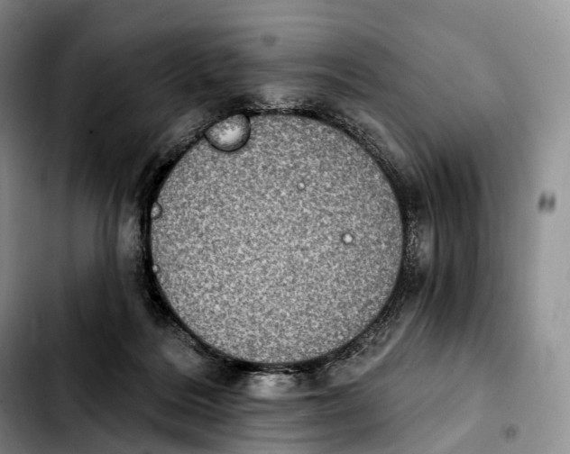 X0000103950220200810101445