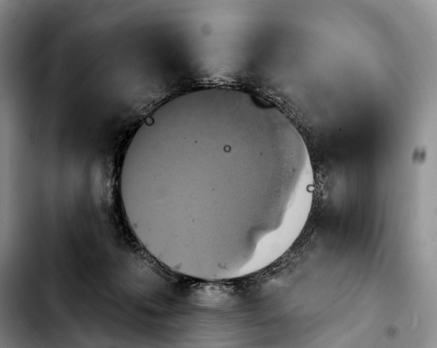 X0000103950223200810101445