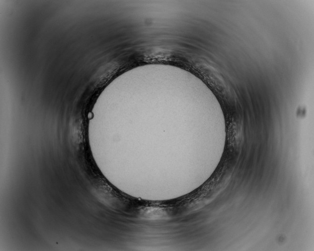 X0000103950224200810101445