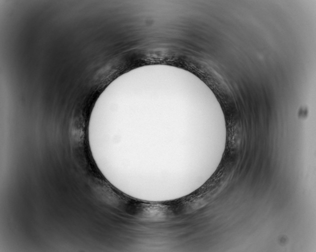 X0000103950226200810101445