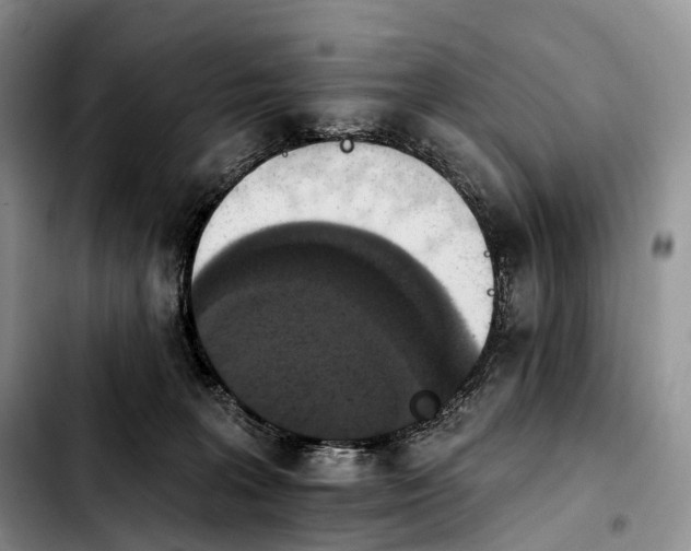 X0000103950227200810101445