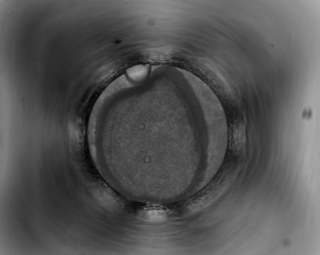 X0000103950228200810101445