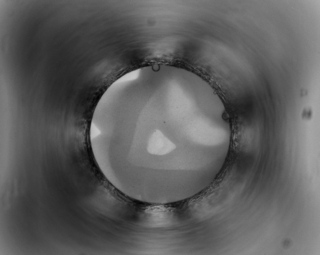 X0000103950231200810101445