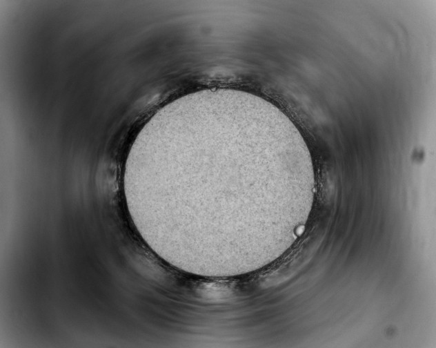 X0000103950232200810101445