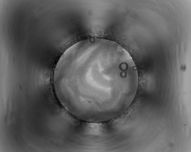 X0000103950233200810101445