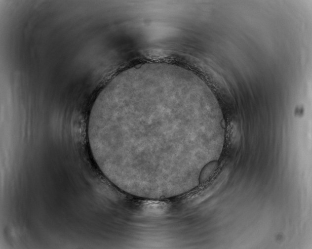 X0000103950234200810101445