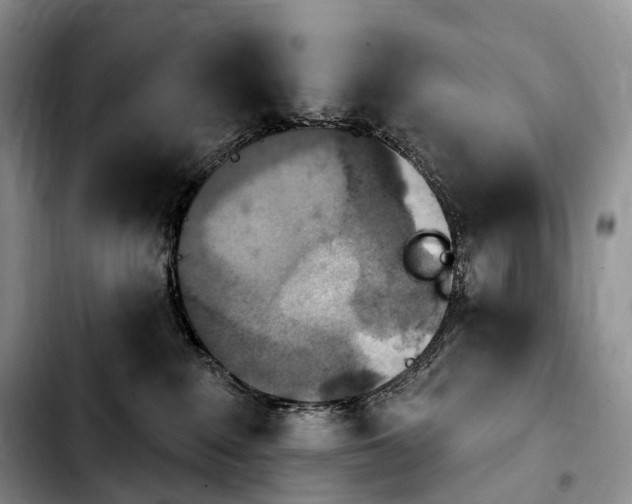 X0000103950235200810101445