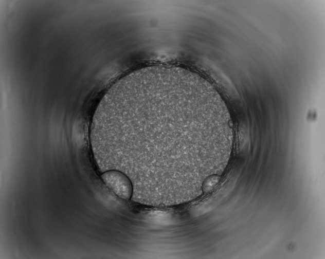 X0000103950236200810101445