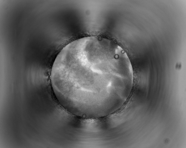 X0000103950237200810101445