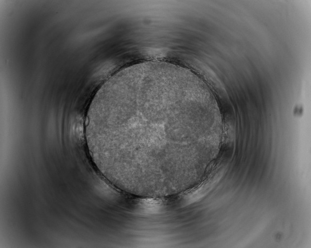 X0000103950238200810101445