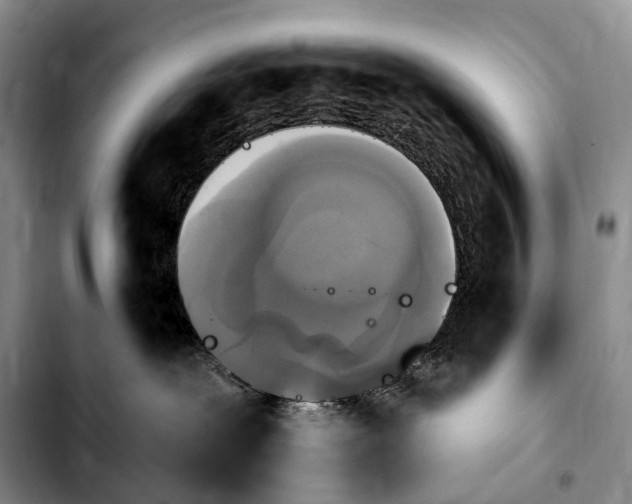 X0000103950239200810101445