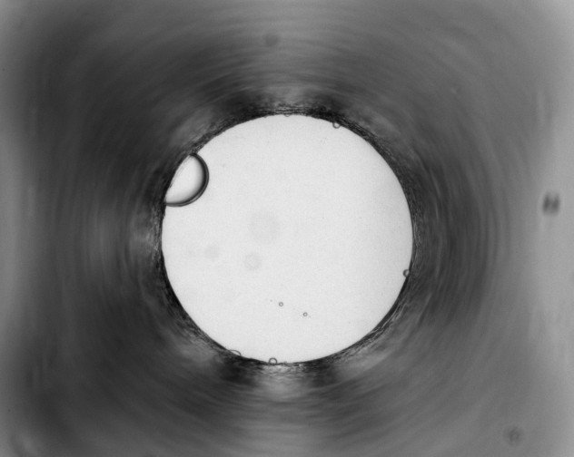 X0000103950240200810101445