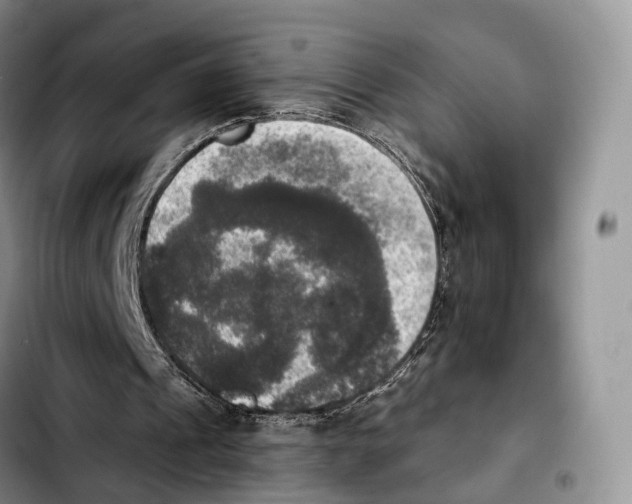 X0000103950241200810101444