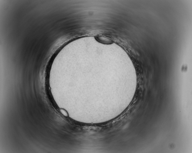 X0000103950242200810101444