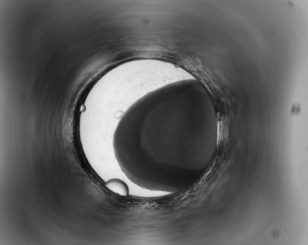 X0000103950243200810101444